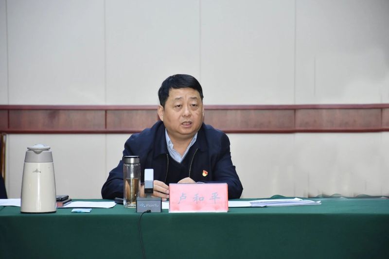 盧和平.jpg